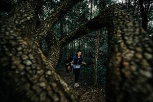 BIB: 
                            <button type="button" onclick="openModal(25671526)" class="btn btn-primary btn-sm float-right btn-popup" data-toggle="modal" data-target=".modal-high-quality">
                        <i class="fas fa-shopping-cart"></i> Add to Cart
                    </button>
                                            <button type="button" onclick="isThisMe(25671526, true)" class="btn btn-success btn-sm float-right btn-popup btn-isme hidden" data-toggle="tooltip" data-placement="bottom" title="นี่คือรูปของคุณใช่ไหม คลิกที่นี่เพื่อเอาเข้าอัลบั้ม">
                        <i class="fas fa-plus"></i> Add to album
                    </button>
                    <button type="button" onclick="isThisMe(25671526, false)" class="btn btn-warning btn-sm float-right btn-popup btn-isnotme hidden">
                        <i class="fas fa-ban"></i> Remove from album
                    </button>